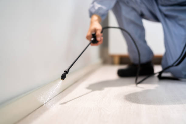 Licensed Termite Control service in Park City, IL - Nex Pest Control