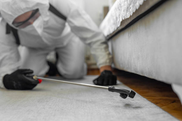 Professional Termite Control technician working in Park City, IL