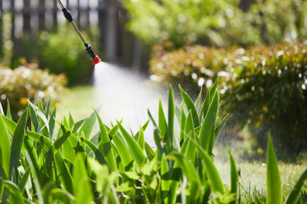 24/7 Emergency Termite Control experts in Park City, IL