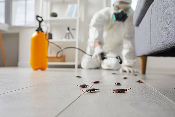 Trusted Emergency Pest Control service in Park City, IL - Nex Pest Control